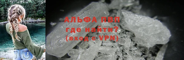 сатива Верея