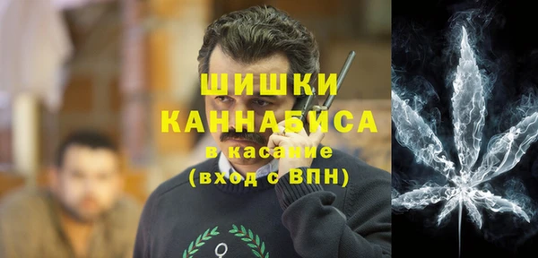 хмурый Богородицк