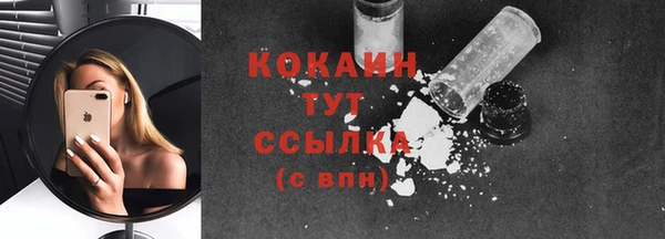 хмурый Богородицк