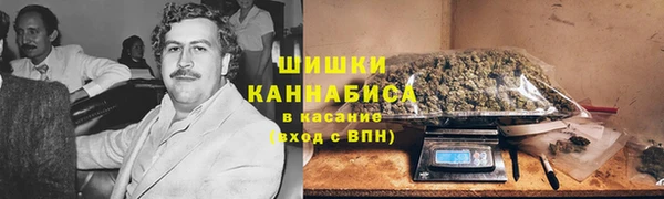 гидропоника Богородск