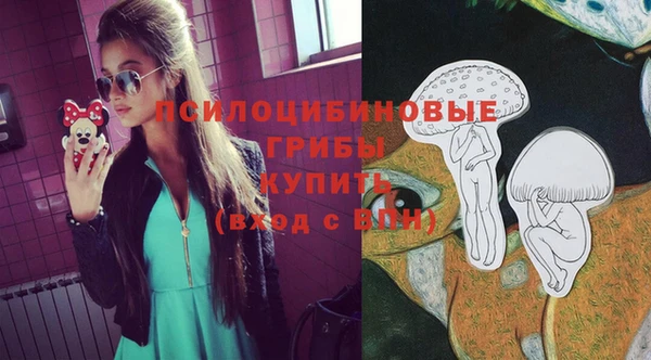 сатива Верея