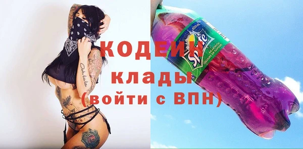 хмурый Богородицк