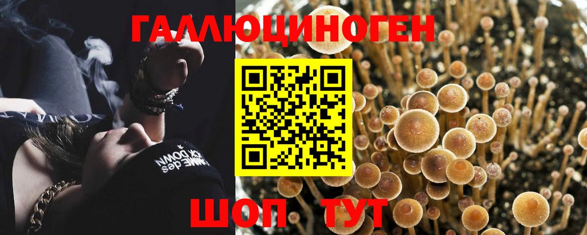Галлюциногенные грибы прущие грибы Обь