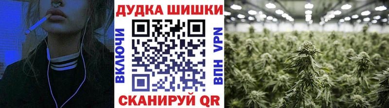 Канабис планчик  Обь 